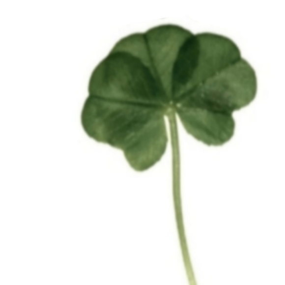 Get $10 off with referral code KATTAKITTY at signup - Picture 8 of 10